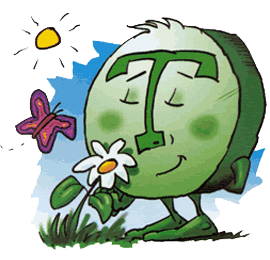 Chlorella - Blume