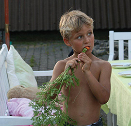 Chlorella - Harald knabbert M�hren